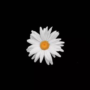 derpxion作者官方网站
